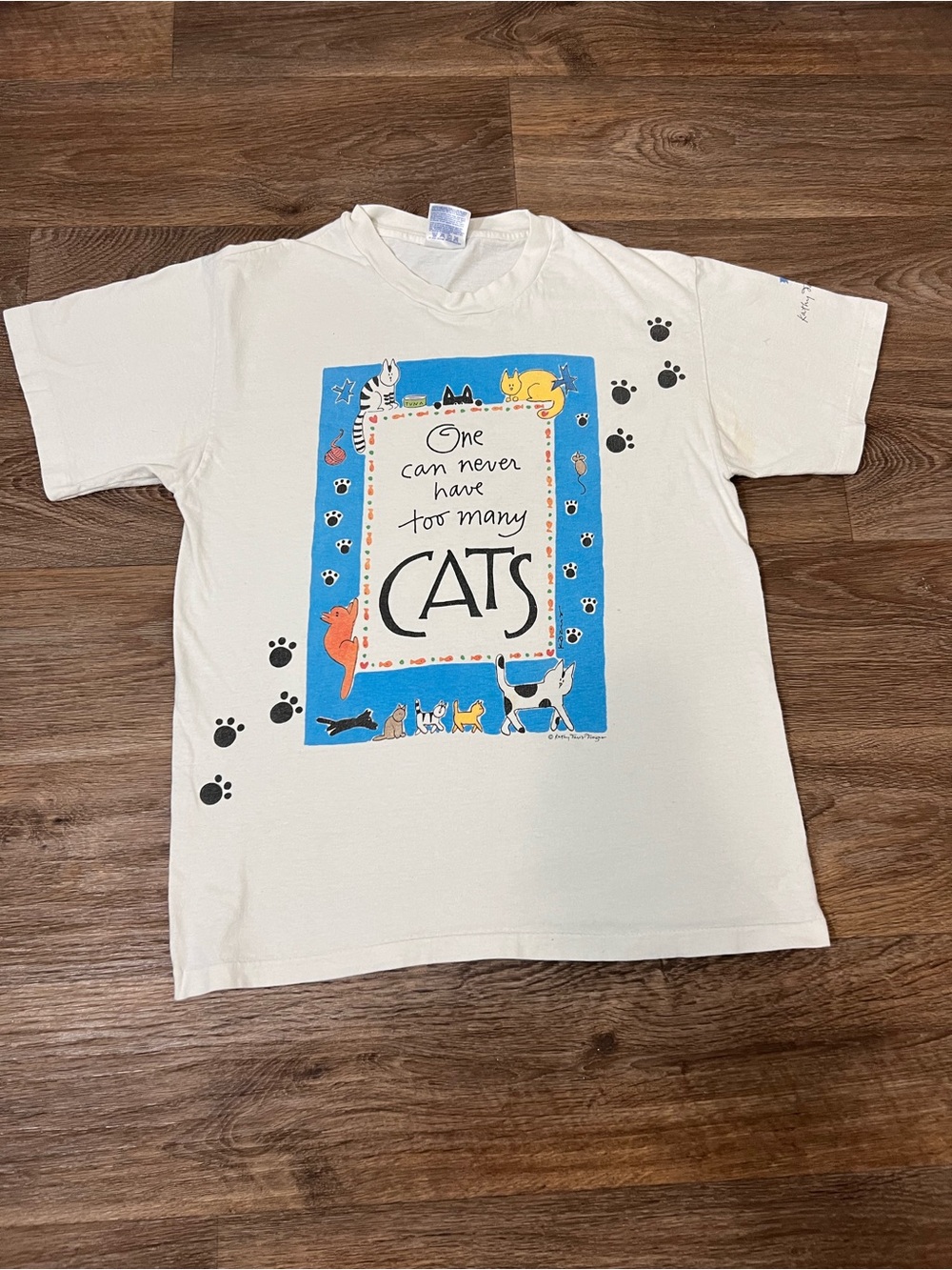 Vintage 90s Hanes Cream Tee with Blue Cat Frame Graphic/A817